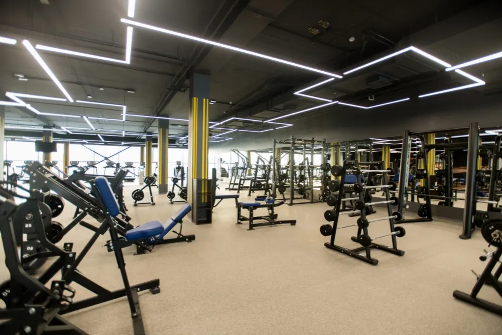 Gymnasium